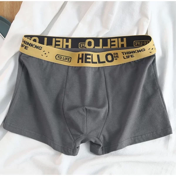 Cueca boxer masculina de alto estiramento, de algodão, respirável, macio, confortável, plus size, moda, L-4XL, kit com 10pcs - Image 6