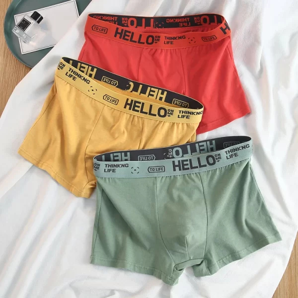 Cueca boxer masculina de alto estiramento, de algodão, respirável, macio, confortável, plus size, moda, L-4XL, kit com 10pcs - Image 2