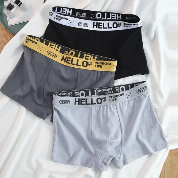 Cueca boxer masculina de alto estiramento, de algodão, respirável, macio, confortável, plus size, moda, L-4XL, kit com 10pcs - Image 3
